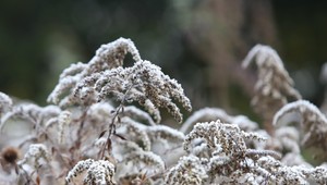 V najbližších dňoch bude chladno. Noci budú mrazivé