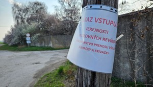 Vláda presunula peniaze pre ministerstvo vnútra v súvislosti so slintačkou a krívačkou