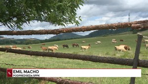 Štúdio 24: SPPK k novému ohnisku nákazy