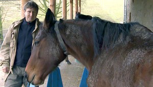 Václav Vydra priznal: Premýšľam ako kôň