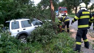 Čelný náraz do stromu. Vodičku zachránilo mohutné auto