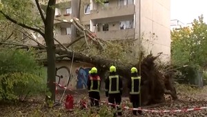 Počasie opäť potrápilo Česko. Víchrica prevracala stromy a ničila domy