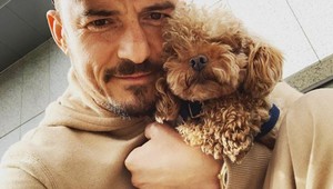 VIDEO: Orlando Bloom na hokeji v Kladne!