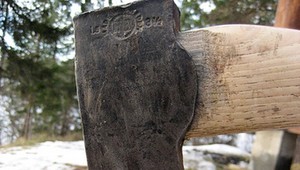 Vyrúbal smreky za 17.000 €