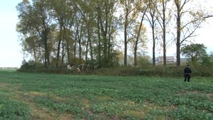 Policajti pátrajú po obetiach sériového vraha. Kopali nový hrob