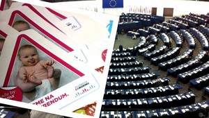Socialisti a demokrati v Európskom parlamente odsúdili naše referendum