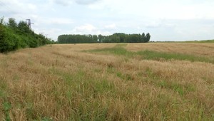 Jedna parcela a úroda, ale dvaja majitelia. Polícia prešetruje prípad pre subvenčný podvod