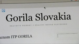 Novou šéfkou vyšetrovacieho tímu Gorila je Martina Babacsová