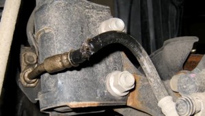 Kuny obľubujú motorové káble