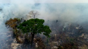 VIDEO: Pľúca Zeme stále horia. Požiar v Amazonskom pralese budú hasiť aj vojaci