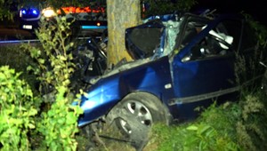 Mladý vodič (21) sa vyhýbal srnke, vrazil do stromu