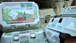 Cena vajec rastie. Pred Vianocami môžu byť nedostatkový tovar