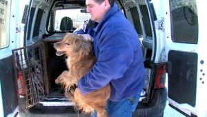 Chlpáč padol do šachty, zachránil ho náhodný okoloidúci