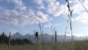 Volebná encyklopédia Slovenska: Ľudia sú ochotní si za ochranu životného prostredia aj priplatiť