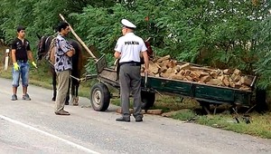 Auto vs. koňský povoz, deti previezli do nemocnice