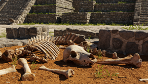 Niečo temné stálo za aztéckou zoo: Archeológovia majú stopy