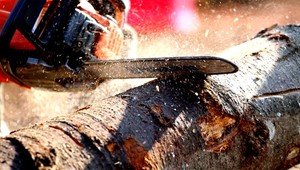 Ukradnuté píly nosili cez kopec, tam ich čakali kumpáni