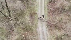 VIDEO: Autentické zábery zúfalých pokusov Ukrajincov odísť z krajiny