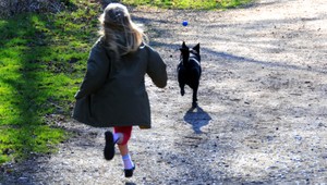 Nové pravidlá pre majiteľov zvierat. Za porušenie hrozia vysoké pokuty