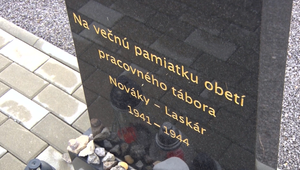 Bojov v SNP sa zúčastnilo aj veľa Židov. Po ich oslobodení domov nešli, vybrali sa so zbraňami v rukách do hôr