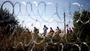 AI: Stavanie plotov vedie k porušovaniu ľudských práv