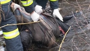 Na Suchovskej priehrade sa utopil 48-ročný muž