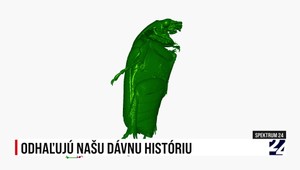 Spektrum 24 o unikátnom modeli lebky plaza