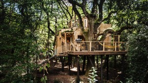 Luxus na strome: Dom, ktorý stojí za návštevu