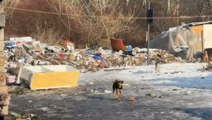 Hrôza v Kolárove: Psa našli uhynutého na reťazi v torze starej chladničky