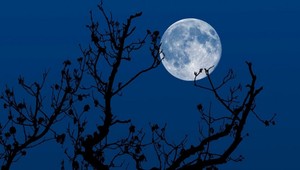 Zmeškali ste nebeské divadlo? Vysielali sme naživo z bratislavskej Koliby