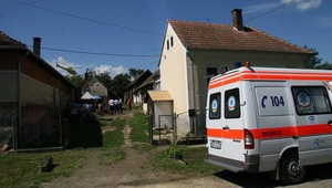 Agresívne prasa zabíjalo! Pozrite sa, prečo