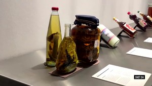 Svet 24 o aukcii vzácnych modelov, ako aj o energii zo Slnka