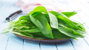 3 rýchle jedlá z medvedieho cesnaku: Vyskúšajte nátierku, maslo, či pesto