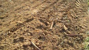 Pri železničnej trati našli 50 rokov staré ľudské kosti. Netušia, odkiaľ sa tam vzali