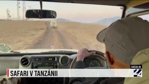 Check-in: Safari v Tanzánii