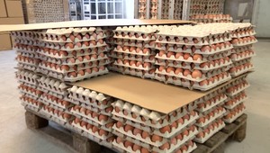 Vajíčkovú i maslovú krízu máme za sebou. Ceny potravín sa ale tento rok zvýšia