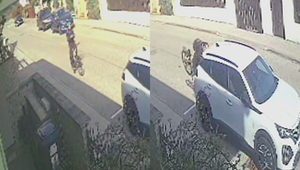 Nezodpovedný cyklista za jazdy používal mobil. Narazil do auta a ušiel, teraz po ňom pátra polícia