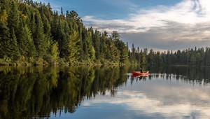 Práca pre skutočného chlapa: Kanaďan Shawn James si v lese vlastnoručne postavil zrub