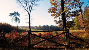 Teplá jeseň trvá. Kedy nás čaká novembrové ochladenie?