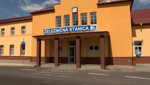 Vlakom sa vybrala po výplatu, no domov sa už nevrátila. Dvanásť detí zostalo bez mamy a v strachu