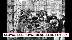 Slovák ilustroval Mengeleho pokusy