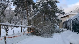 V košickej ZOO sneh vyvrátil cez 200 stromov. Verejnosť sa do nej nedostane
