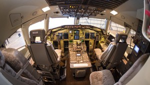 United Airlines majú ďalší problém. Na palube zomrel králik