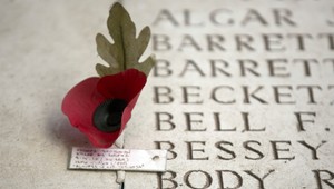 Západný svet si vlčími makmi pripomenie vojnových veteránov