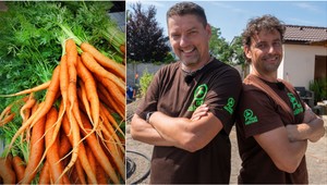 Pestujete si mrkvu, ale vňať vždy vyhadzujete? Takto šikovne ju môžete využiť v kuchyni!