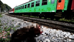 VIDEO: Vlak zrazil dvoch mackov :(