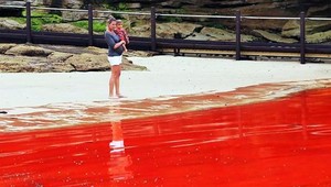 Voda na známej pláži ako rajčinová šťava. Či ako z filmu Čeľuste...