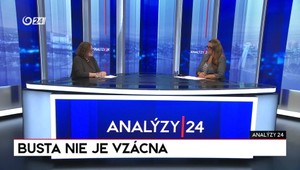 Analýzy 24: Busta nie je vzácna