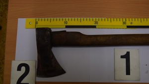 Došla mu trpezlivosť a sekerou zaútočil na susedinho psa. Je obvinený a hrozía mu až 3 roky vo väzbe