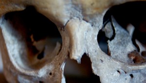 Kostrové pozostatky z Ľubovne patria Poliakovi